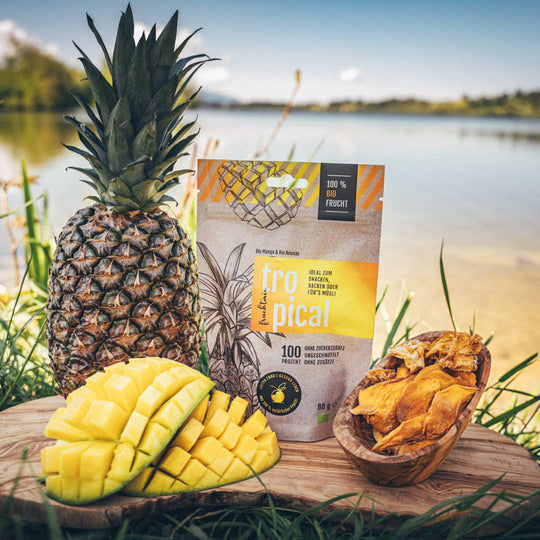 Getrockneter Fruchtmix Tropical Bio – Mango und Ananas im Mix